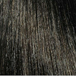 L'Oréal Professionnel Inoa Hair Dye No Ammonia ...