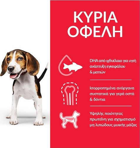Hill's Science Plan Puppy <1 Medium 2.5kg Dry Food for Medium Breed Puppies with Chicken