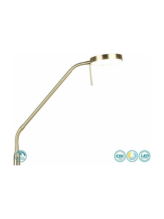 Trio Lighting Monza LED Floor Lamp H145xW25cm. with Warm White Light 1400lm Gold
