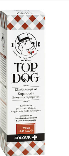Top Dog Color Enhancement Shampoo Dog