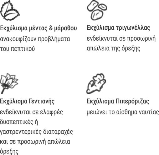 Intuizoon Orexis Syrup Συμπλήρωμα Διατροφής Σκύλου και Γάτας σε Σιρόπι 30ml για Γαστρεντερικές Διαταραχές