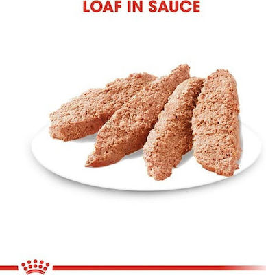 Royal Canin Umedă pentru Câini pentru Câini Sterilizați cu Carne în Plic 1 x 85gr. 1731010