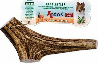 Horn for Dogs of Medium Breeds from Deer 150gr