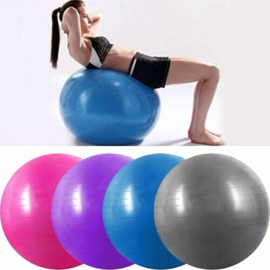 05003PLB50CL Balls Pilates 65cm in Blue Color