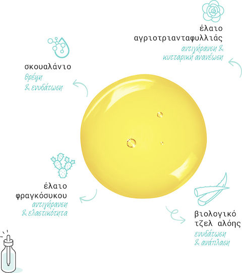 Pandrosia Rejuvenating Αντιγηραντικό Serum Προσώπου με Νιασιναμίδη & Βιταμίνη E 30ml