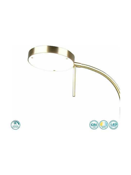 Trio Lighting Monza LED Office Lamp with Flexible Arm in Gold Color