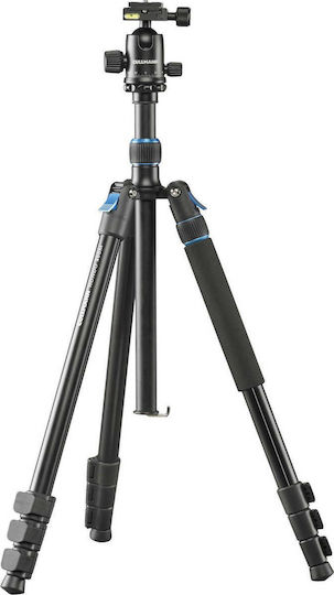 Cullmann Kamerastative Rondo 480M RW20 aus Aluminium mit 3-Wege Kopf bis 183cm und Maximale Belastung 4kg