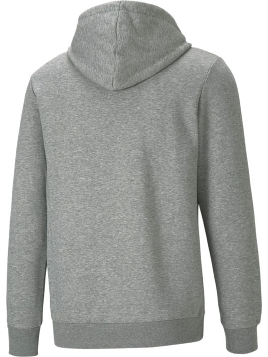 Essential Sweatshirt with Hood Gray