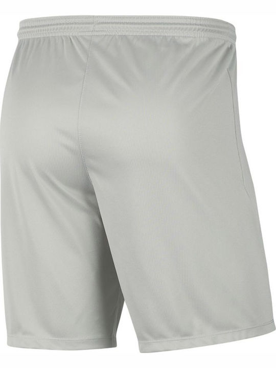 Dry Park III Sports Men's Shorts Dri-Fit Grey