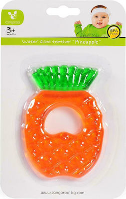 Cangaroo Teething Ring with Water made of Silicone for 3 m+ 1pcs