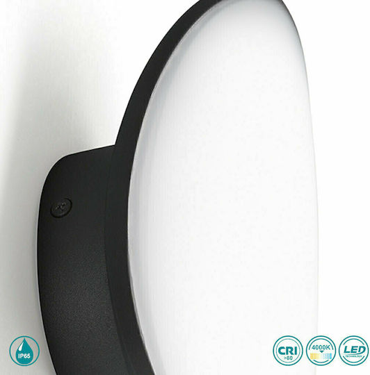 La Mia Luce Стенен Външен Плафон LED IP65 с Естествено бяло Светлина
