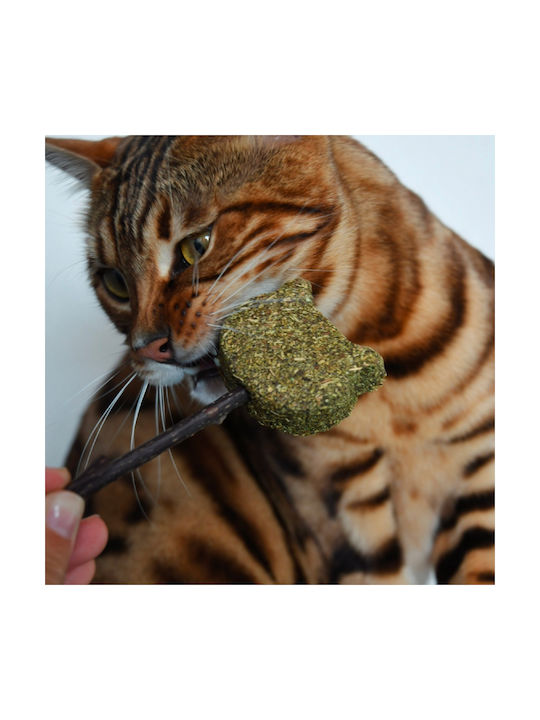 Croci Euphoria Catface Jucărie pentru pisici Băț cu Catnip 14cm