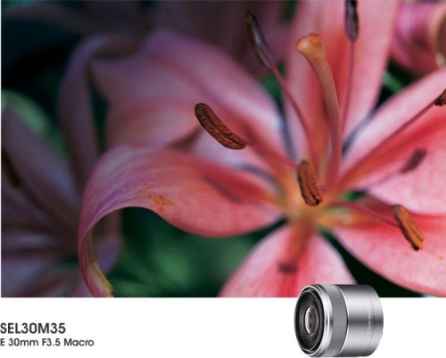 Sony Crop Camera Lens 30mm f/3.5 Standard / Macro for Sony E Mount Silver