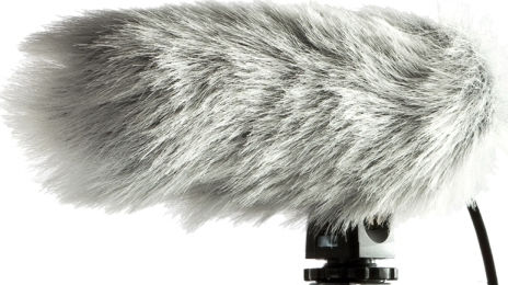 Audio Technica PRO 24 CMF Πυκνωτικό Μικρόφωνο 3.5mm Shock Mounted για Κάμερα