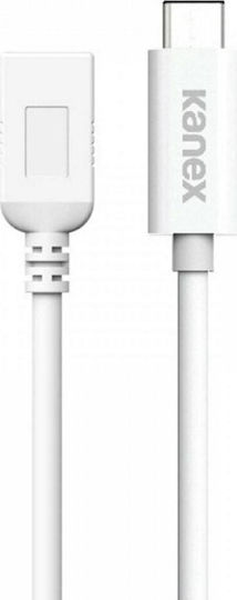 Kanex Конвертор USB-C мъжки към USB-A женски Бял 1бр KU3CA107I