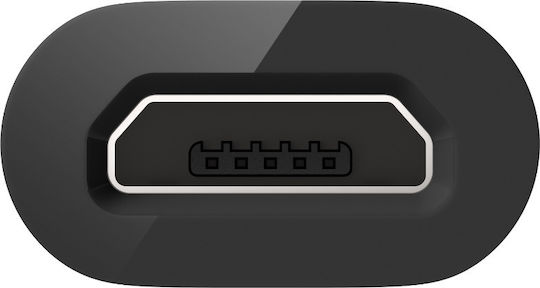 Belkin Μετατροπέας USB-C male σε micro USB female 1τμχ F2CU058btBLK