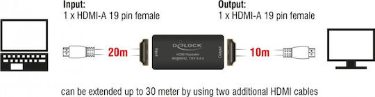 DeLock Конвертор HDMI женски към HDMI женски Черен 1бр 11462