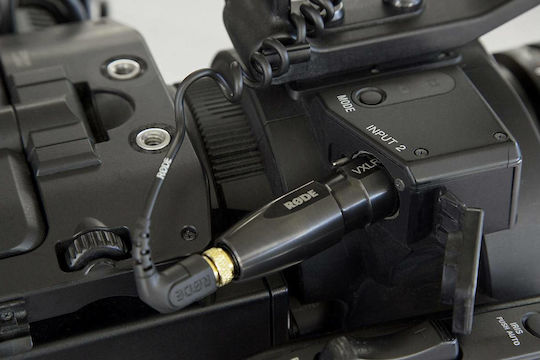 Rode VXLR+ Конвертор XLR мъжки към 3.5mm женски Черен 1бр