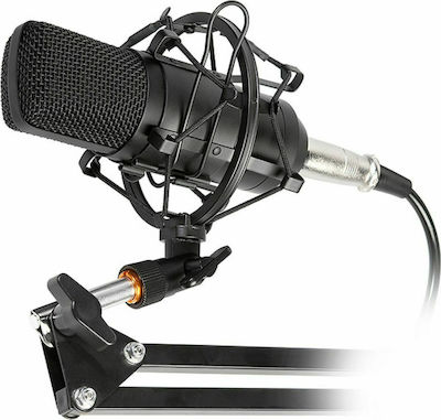 Tracer Πυκνωτικό Μικρόφωνο XLR Studio Pro Τοποθέτηση Shock Mounted/Clip On Φωνής