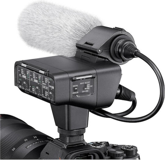 Sony XLR-K3M Microphone Shock Mounted for Camera