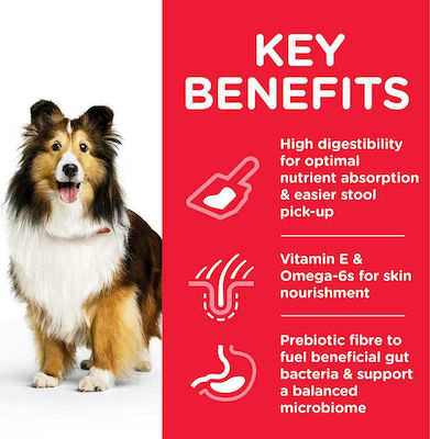 Hill's Science Plan Sensitive Stomach & Skin Medium 2.5kg Trockenfutter für erwachsene Hunde mittlerer Rassen mit Huhn