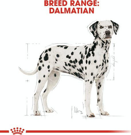 Royal Canin Dalmatian Adult 12kg Dry Food for Adult Large Breed Dogs with Rice