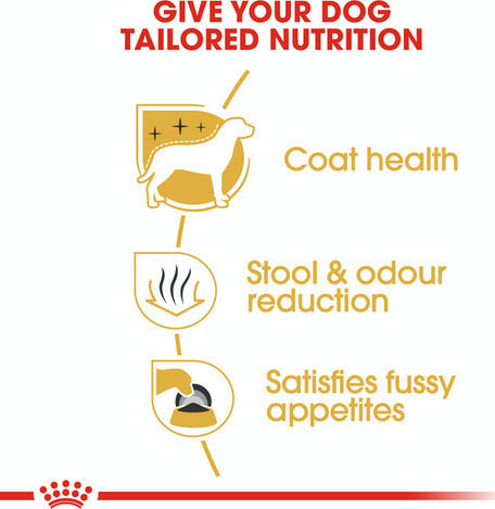 Royal Canin Adult Maltese 1.5kg Dry Food Gluten-Free for Adult Small Breed Dogs with Chicken and Rice