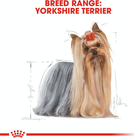 Royal Canin Adult Yorkshire Terrier 3kg Dry Food for Adult Small Breed Dogs with Rice and Poultry