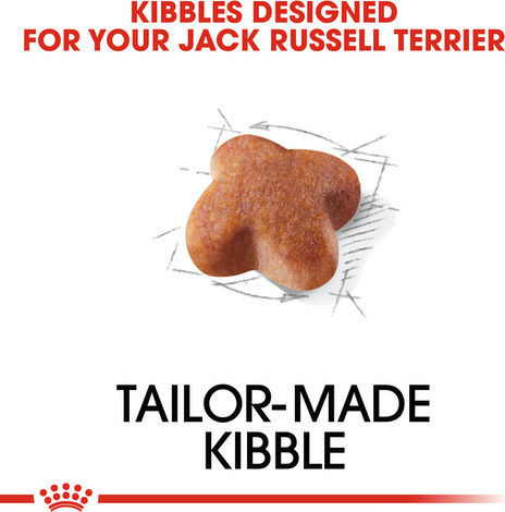 Royal Canin Adult Jack Russell Terrier 1.5kg Trockenfutter ohne Gluten für erwachsene Hunde kleiner Rassen mit Geflügel und Reis