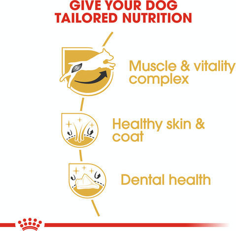 Royal Canin Adult Jack Russell Terrier 1.5kg Trockenfutter ohne Gluten für erwachsene Hunde kleiner Rassen mit Geflügel und Reis