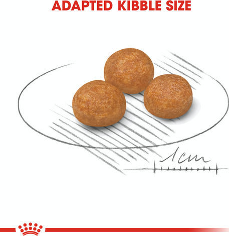 Royal Canin X-Small Adult 3kg Hrană Uscată pentru Câini Adulţi de Rase Mici cu Orez brun și Pui