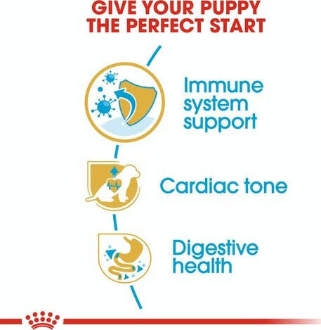 Royal Canin Puppy Cavalier King Charles 1.5kg Dry Food Gluten-Free for Small Breed Puppies with Poultry and Rice