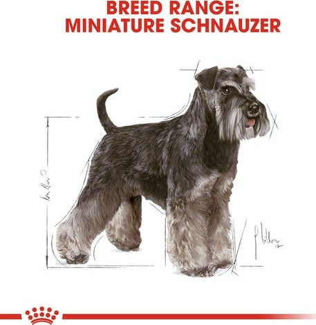 Royal Canin Adult Miniature Schnauzer 3kg Dry Food for Adult Dogs with Brown rice and Chicken