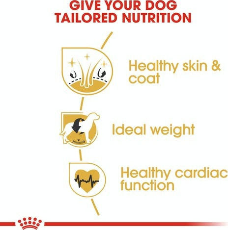 Royal Canin Adult Cocker 3kg Dry Food for Adult Medium Breed Dogs with Brown rice and Chicken