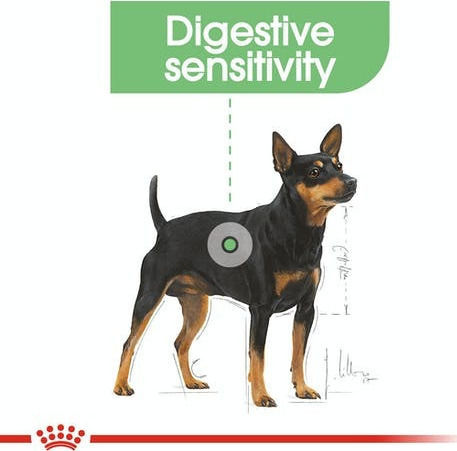 Royal Canin Digestive Care Medium 3kg Dry Food Gluten-Free for Adult Medium Breed Dogs with Poultry and Rice
