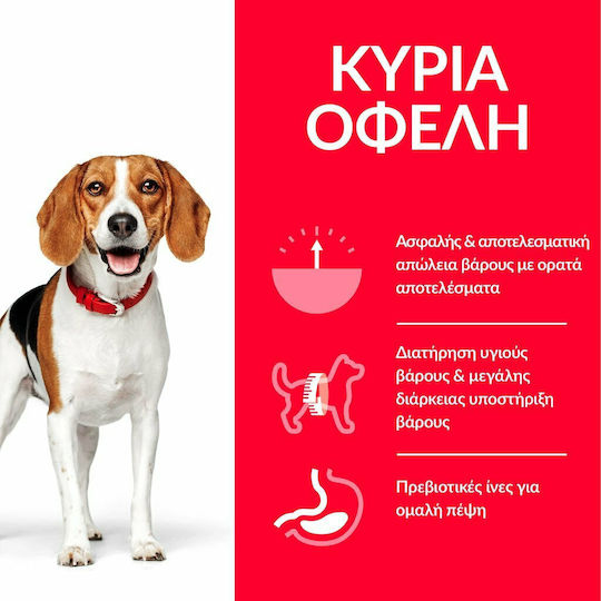 Hill's Science Plan Perfect Weight Adult Medium 2kg Dry Food Diet for Adult Medium Breed Dogs with Chicken
