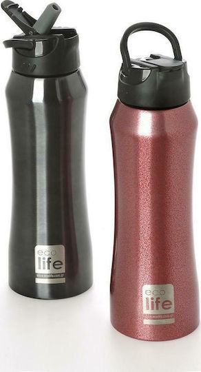 Ecolife Interior Recyclable Bottle Thermos Stainless Steel BPA Free 550ml Red with Mouthpiece and Straw
