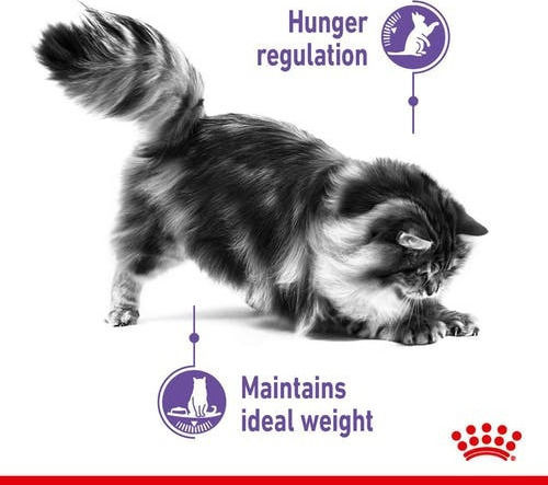 Royal Canin Care Appetite Control Dry Food for Adult Sterilized Cats with Sensitive Urinary with Poultry 0.4kg