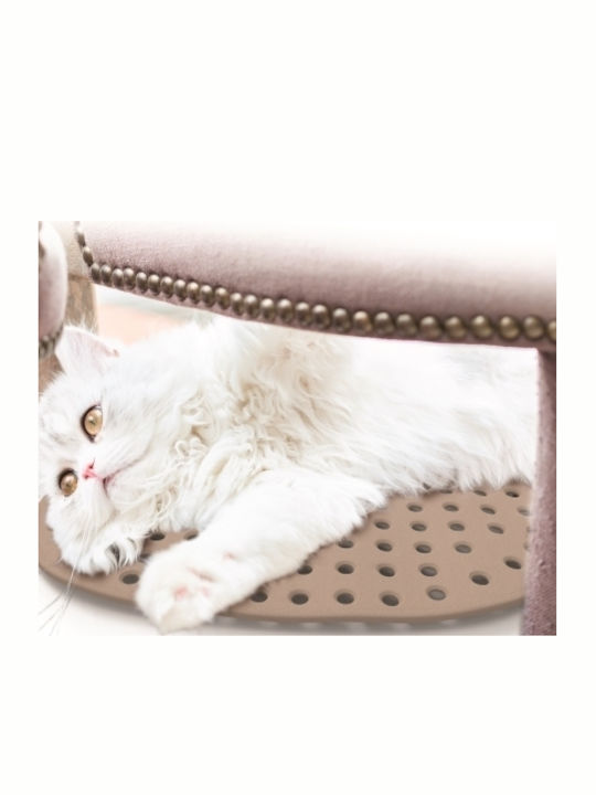 Bama Comfort Χαλάκι Σκύλου Γκρι 38x23εκ.