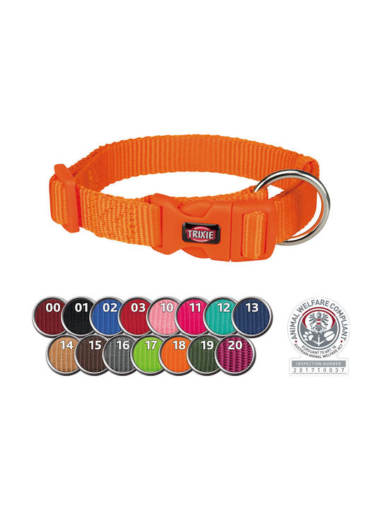 Trixie Premium Dog Collar in Orange color Medium / Small 15mm x 30 - 45cm 201518