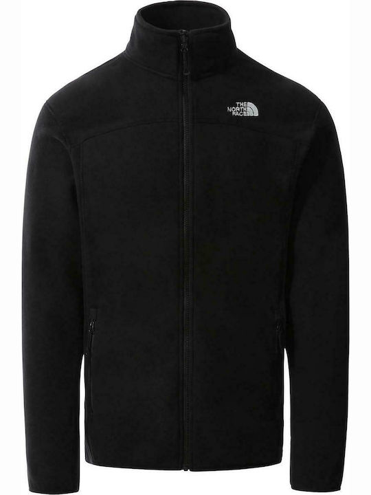 100 glacier fleece north face