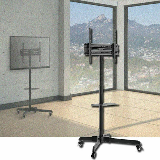 Audizio MFS30 129.182 Boden TV-Halterung Bis 65 Zoll Und 35kg