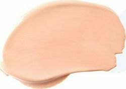 Radiant Natural Fix All Day Matt Liquid Make Up...