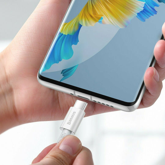 Baseus Superior USB 2.0 Cable USB-C Male - USB-C 100W PD White 1m CATYS-B02