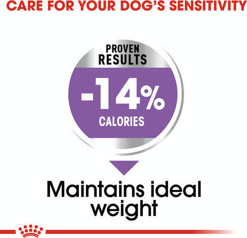 Royal Canin Mini Sterilised 1kg Dry Food for Adult Neutered Small Breed Dogs with Poultry