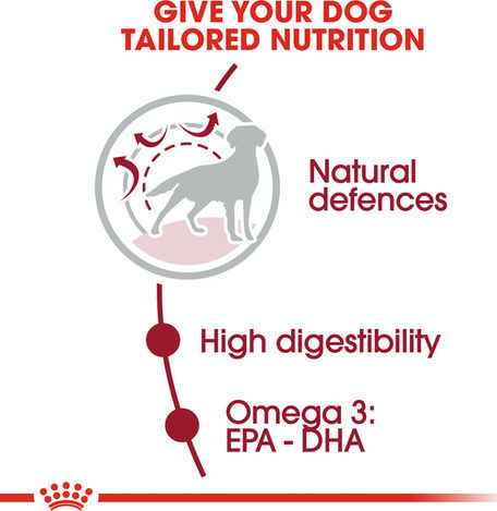 Royal Canin Medium Adult 4kg Hrană Uscată pentru Câini Adulţi de Rase Medii cu Păsări de curte