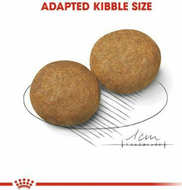Royal Canin Medium Adult 4kg Hrană Uscată pentru Câini Adulţi de Rase Medii cu Păsări de curte