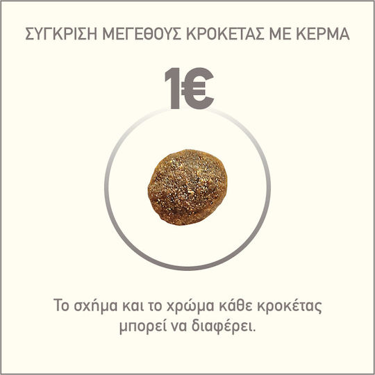 Acana Adult Small Breed 6kg Ξηρά Τροφή χωρίς Σιτηρά για Ενήλικους Σκύλους Μικρόσωμων Φυλών με Κοτόπουλο