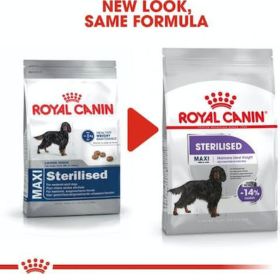 Royal Canin Maxi Sterilised 3kg Hrană Uscată pentru Câini Adulți Sterilizați de Rase Mari cu Porumb și Păsări de curte