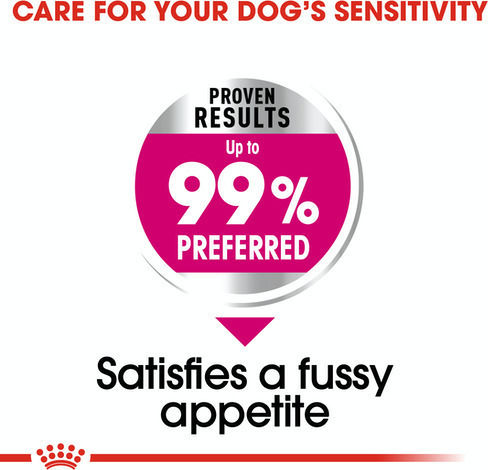 Royal Canin Exigent Mini 3kg Hrană Uscată pentru Câini Adulţi de Rase Mici cu Păsări de curte și Orez